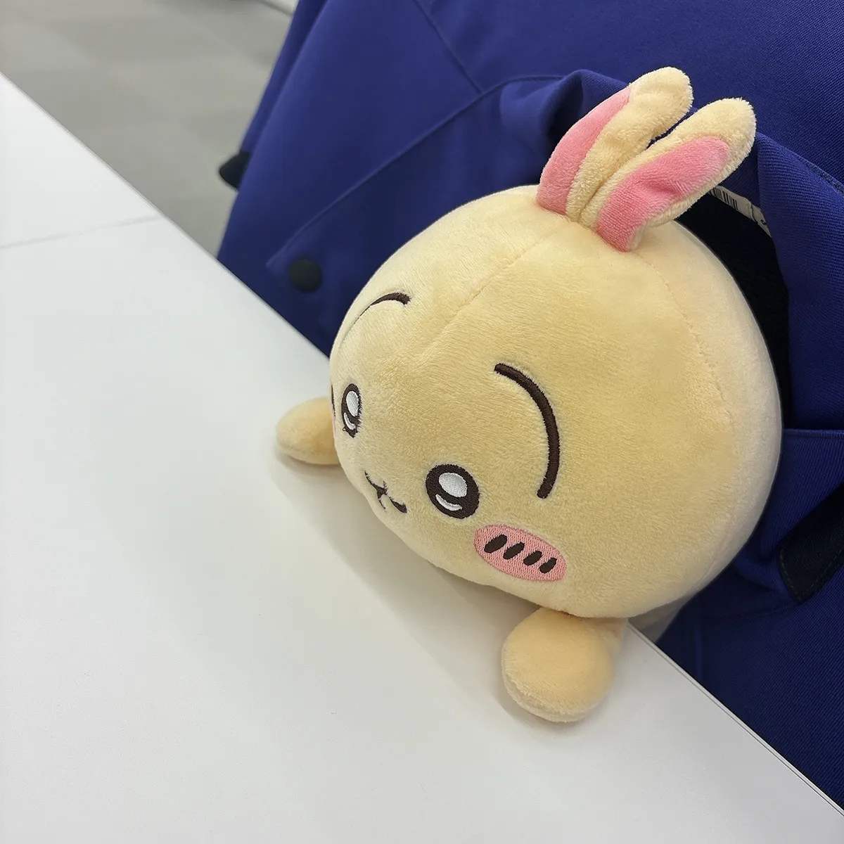 ギャラリー